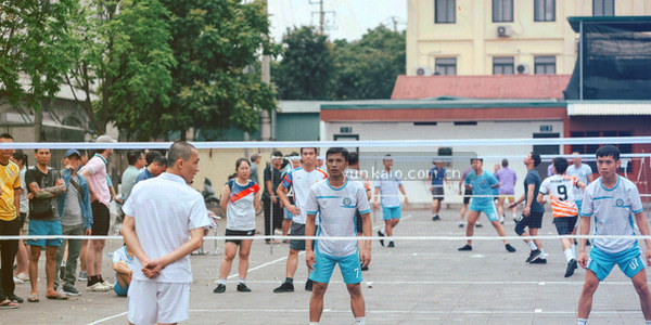 联赛排名变动趋势图